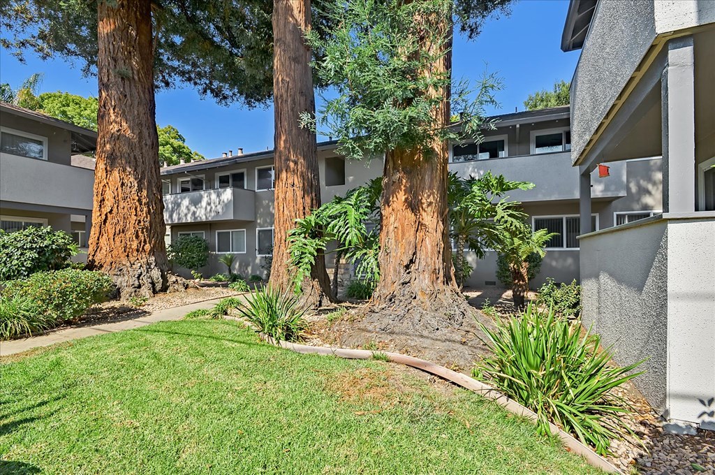 the building in which the apartment is located