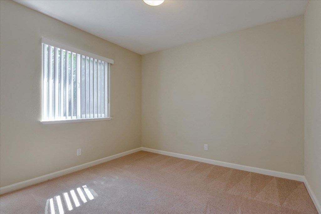 A room with a carpeted floor and a window with blinds.