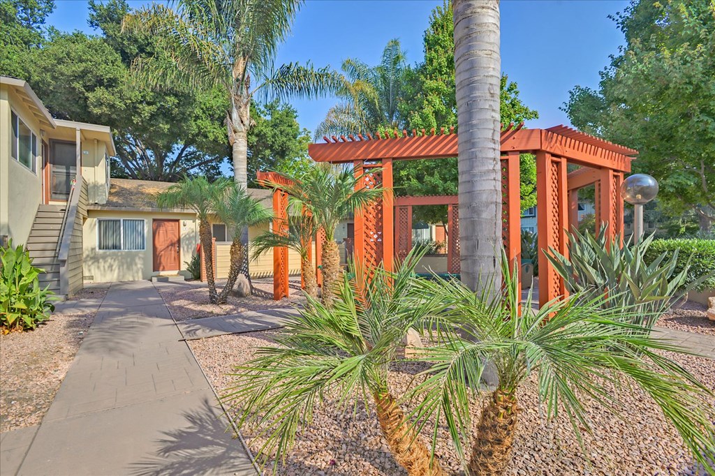 a house with a pathway and palm trees in front of it