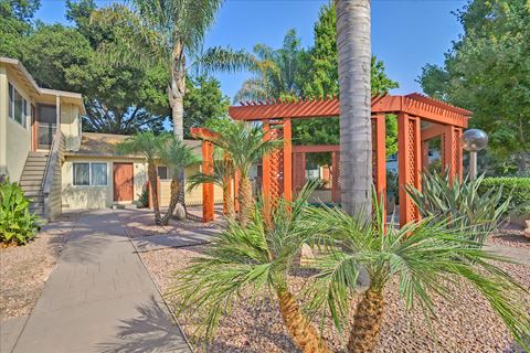 a house with a pathway and palm trees in front of it