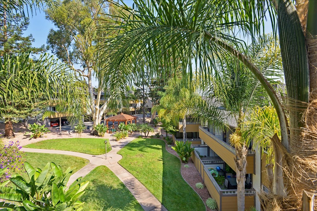 a garden with a lawn and palm trees