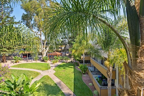 A palm tree is in the foreground of a residential area.
