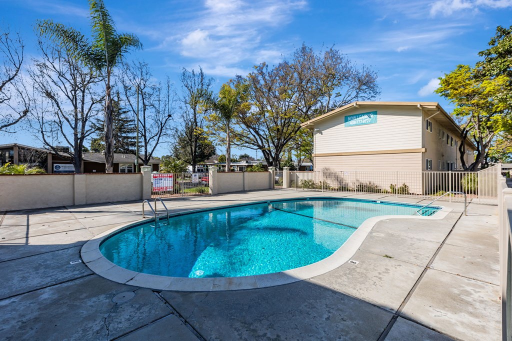 A swimming pool in a backyard with a fence and trees.