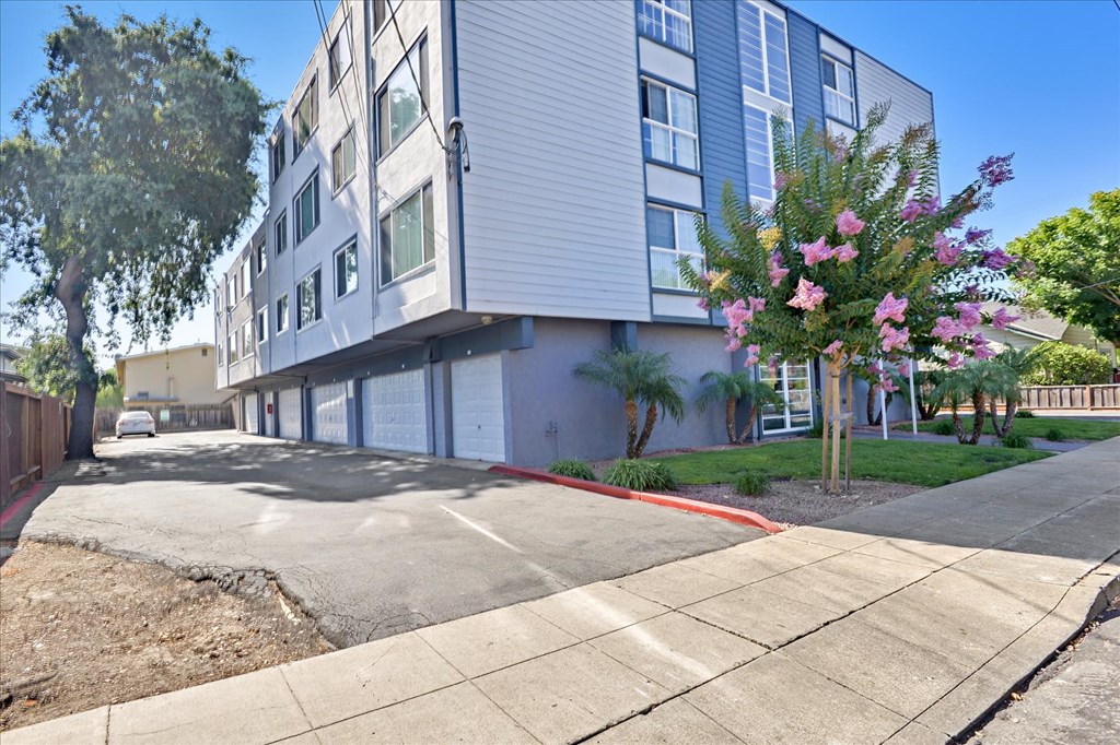 the building where the apartment is located