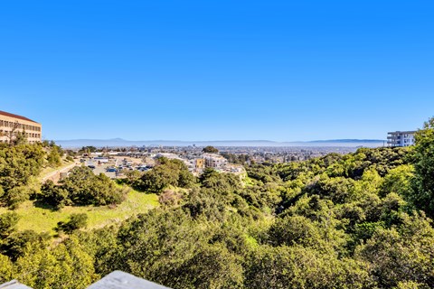 A view from a high vantage point overlooking a lush green landscape with buildings in the distance.