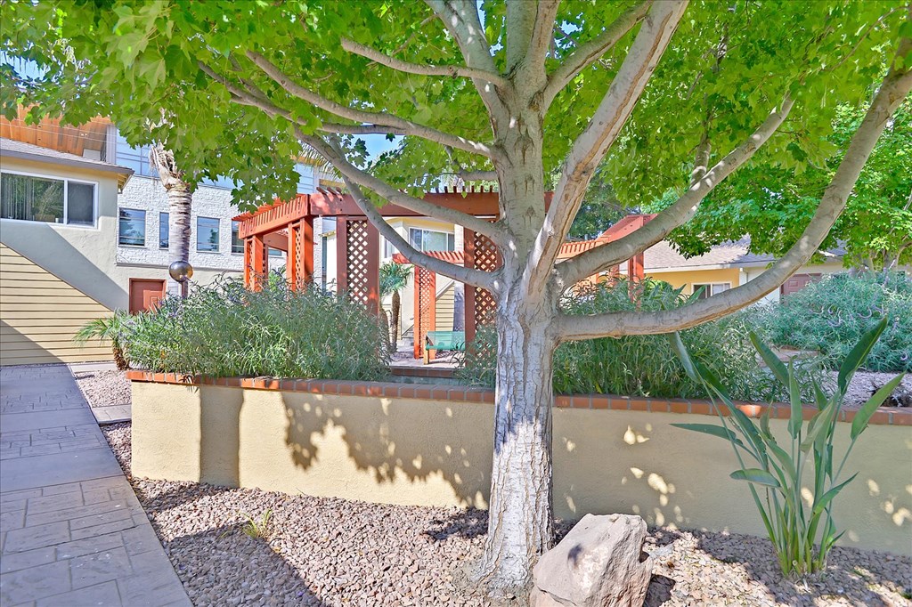 a tree in the front yard of a house