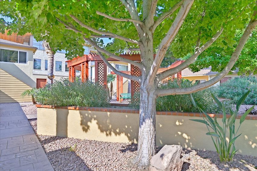 1019, 1023 Noel Drive Studio-2 Beds Apartment for Rent - Photo Gallery