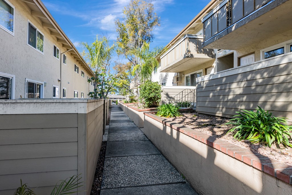 A sunny day in a residential area with apartment buildings and a sidewalk.