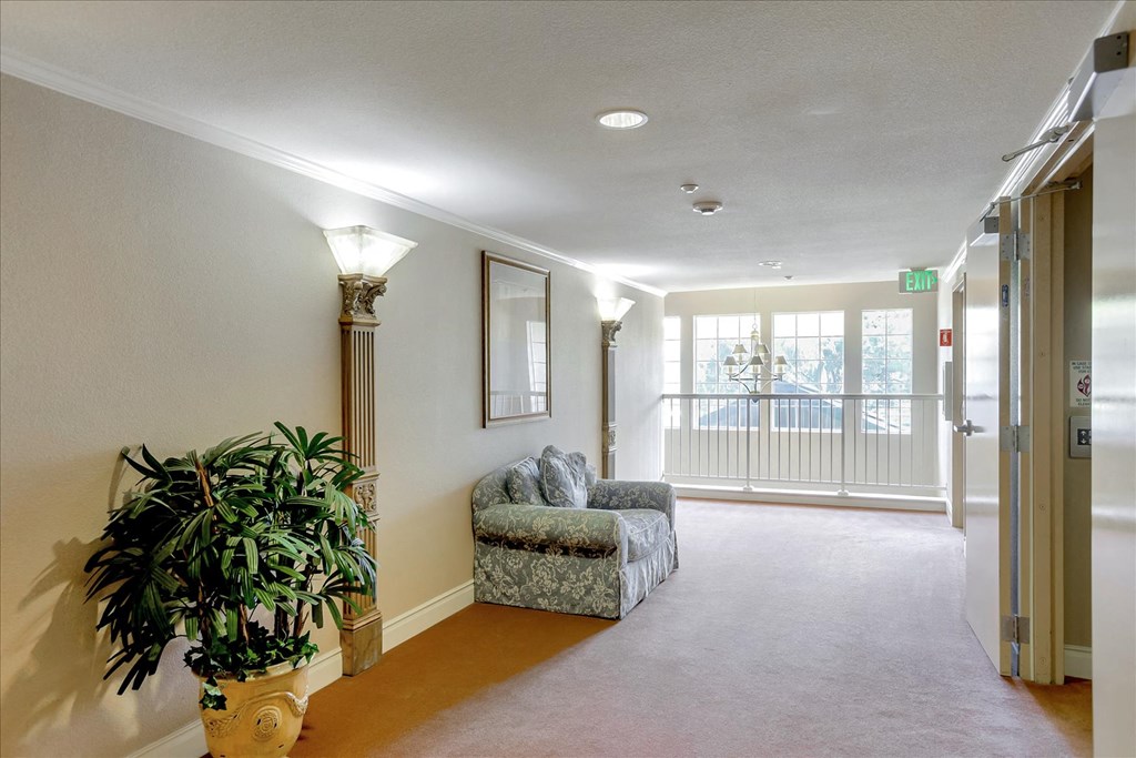 A well lit hallway with a couch and a potted plant.