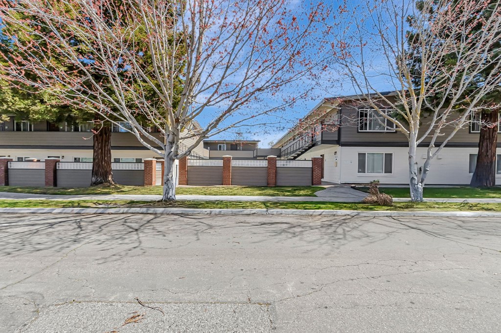 A street view with trees and houses.