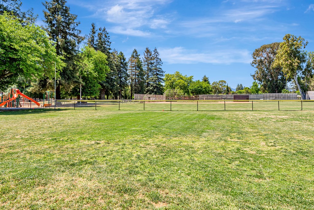 A large grassy field with trees and a fence in the distance.