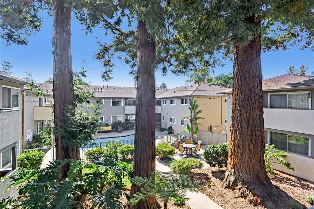 a backyard with trees and a swimming pool