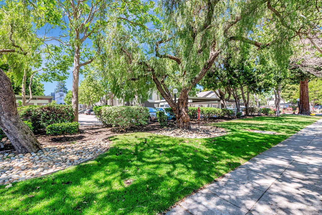 A tree-lined street with a sidewalk and a small garden area.