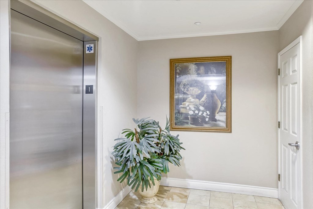A potted plant sits in front of a framed picture in a hallway.