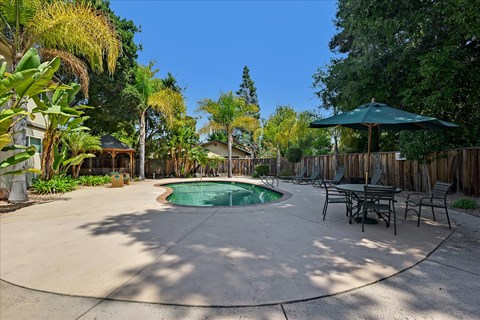 A backyard with a pool and a table set up for dining.