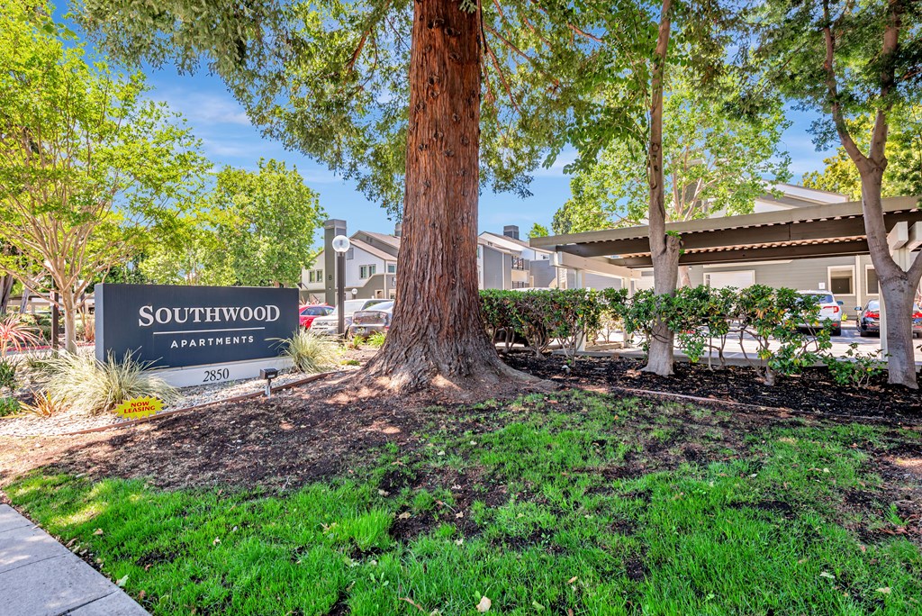 A sign for Southwood Apartments is in front of a tree.