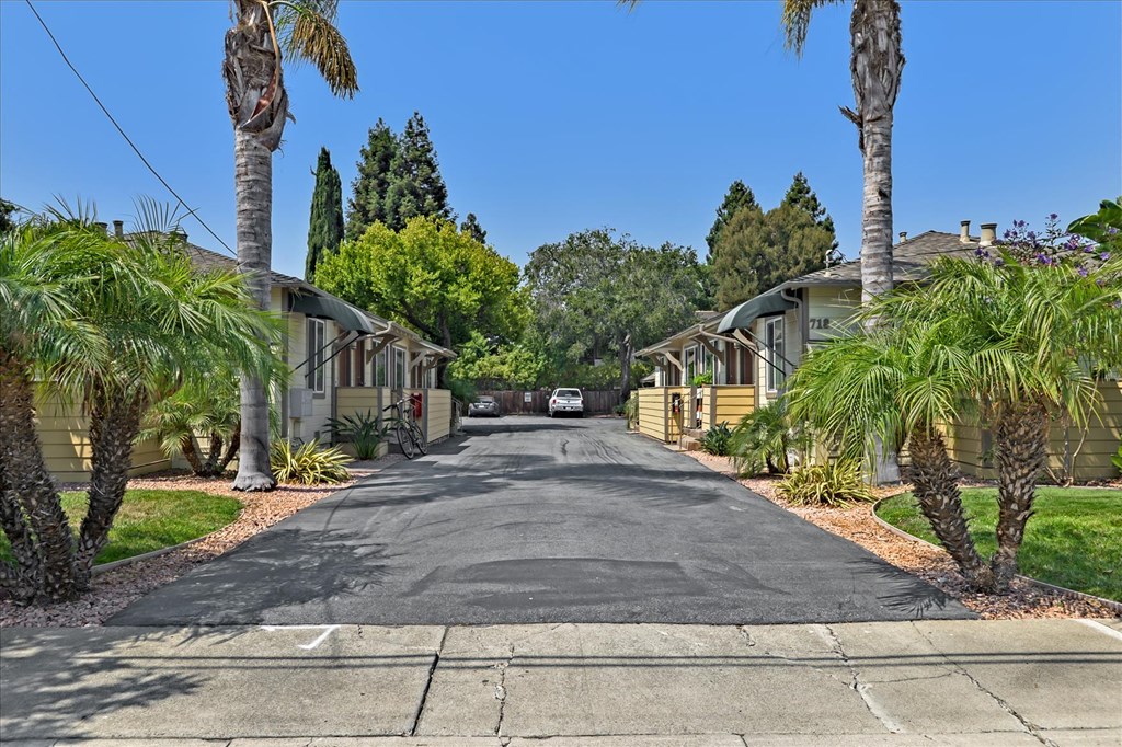 A residential street lined with palm trees and houses.