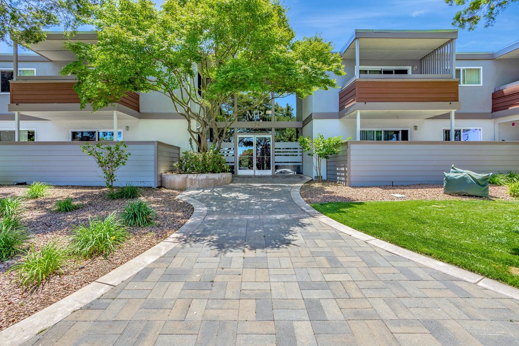 A modern building with a tree in front of it.