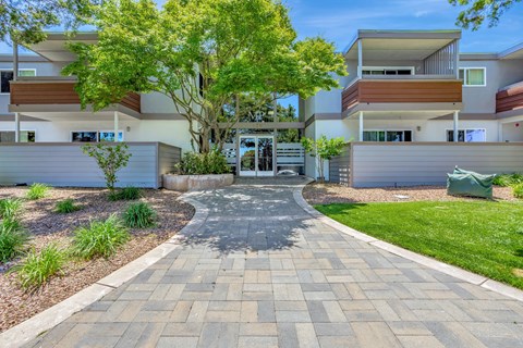 A modern building with a tree in front of it.