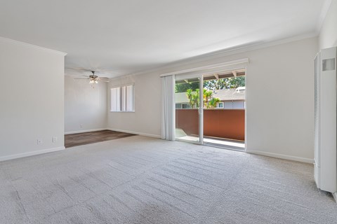 A spacious room with a carpeted floor and sliding glass doors leading to a balcony.