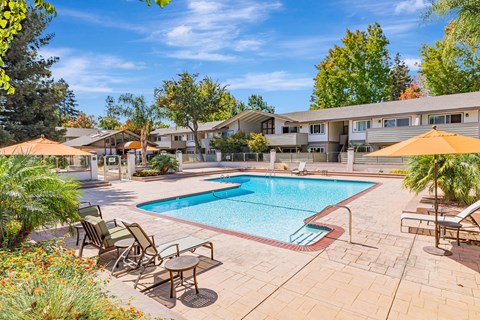 A pool surrounded by chairs and umbrellas with apartment buildings in the background.