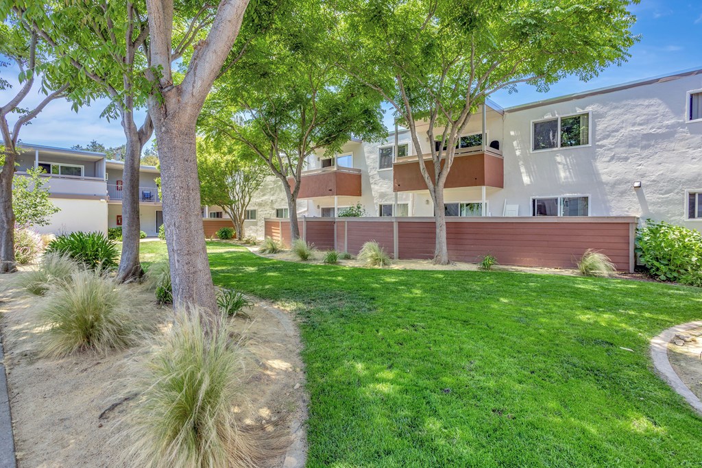 A tree in a yard in front of a building.