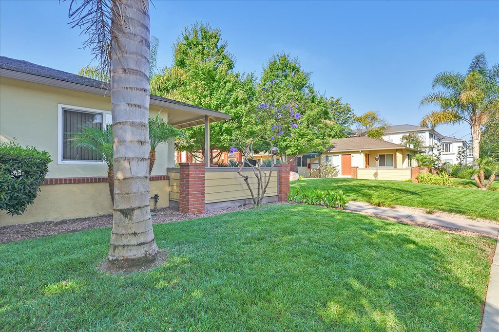 a yard with a palm tree in front of a house