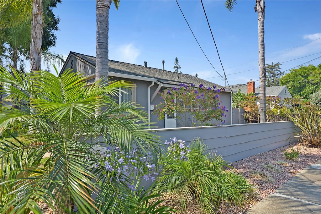a house with a sidewalk and palm trees in front of it