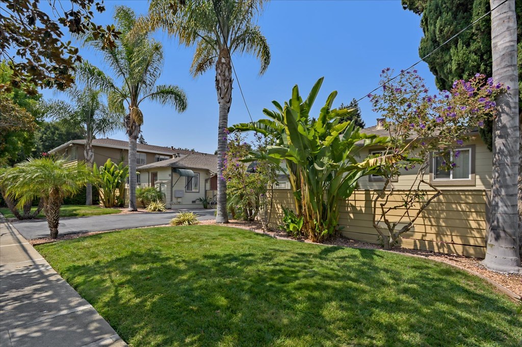 A sunny day in a residential area with houses and palm trees.