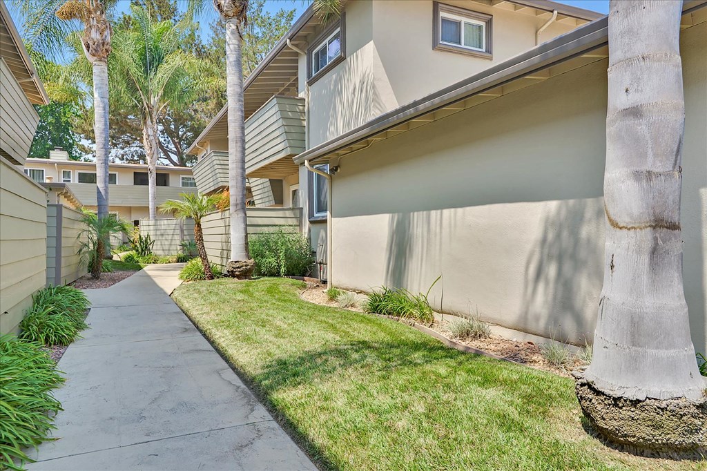 a sidewalk in front of a house with palm trees