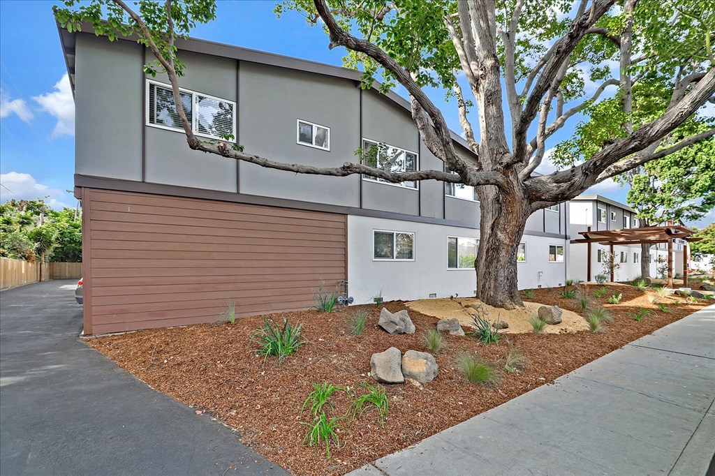 the front of a house with a driveway and a large tree