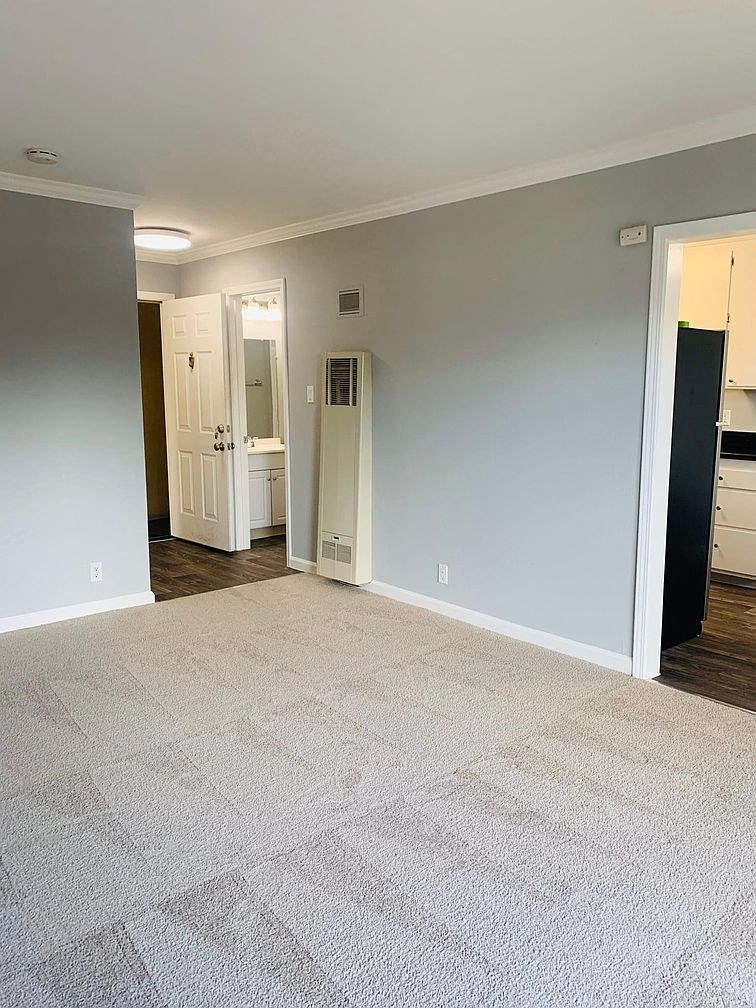 A room with a carpeted floor and a doorway leading to another room.