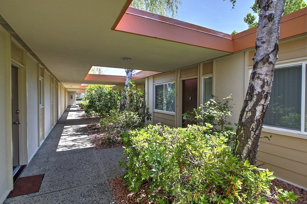 a long walkway with trees and bushes outside a building