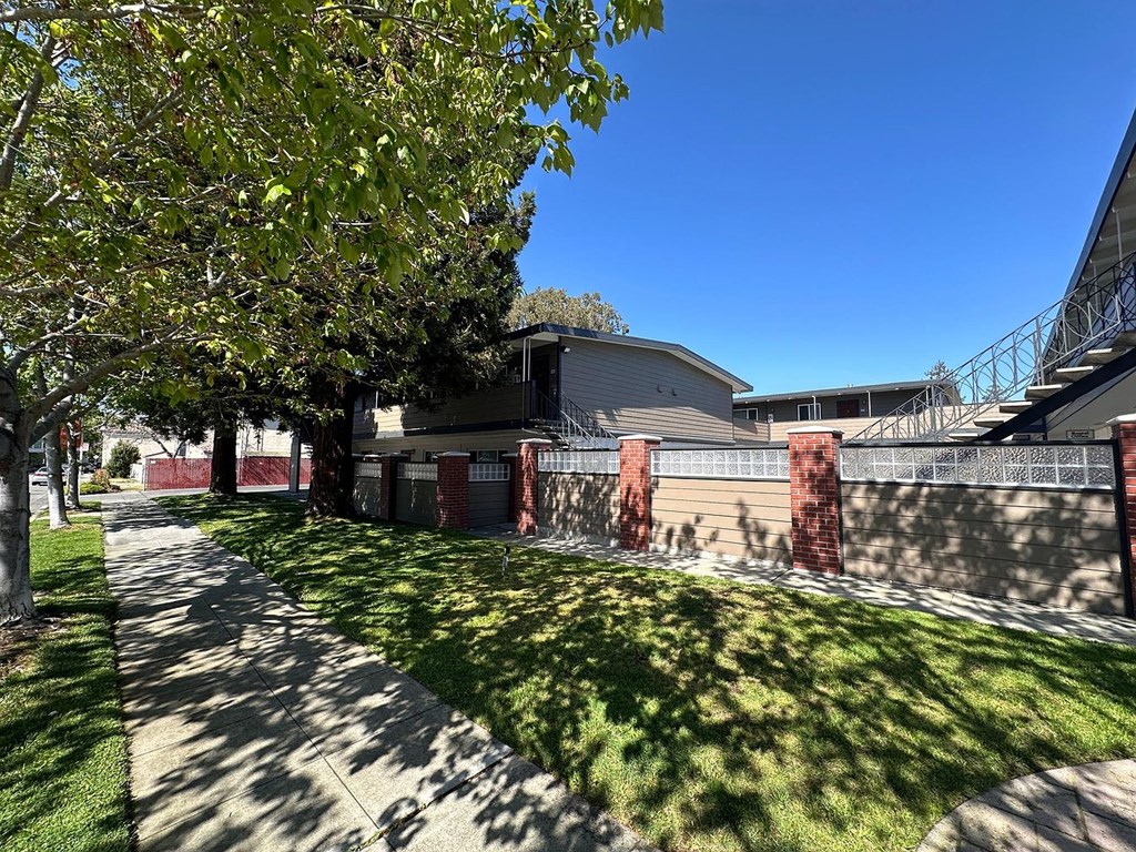 A tree with green leaves is in the foreground of a sunny day.