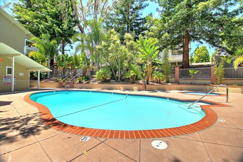 A small round pool surrounded by a brick border.