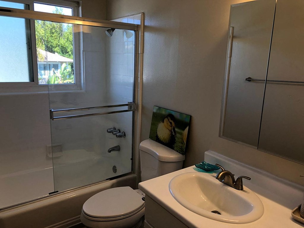 A bathroom with a toilet, sink, and shower.
