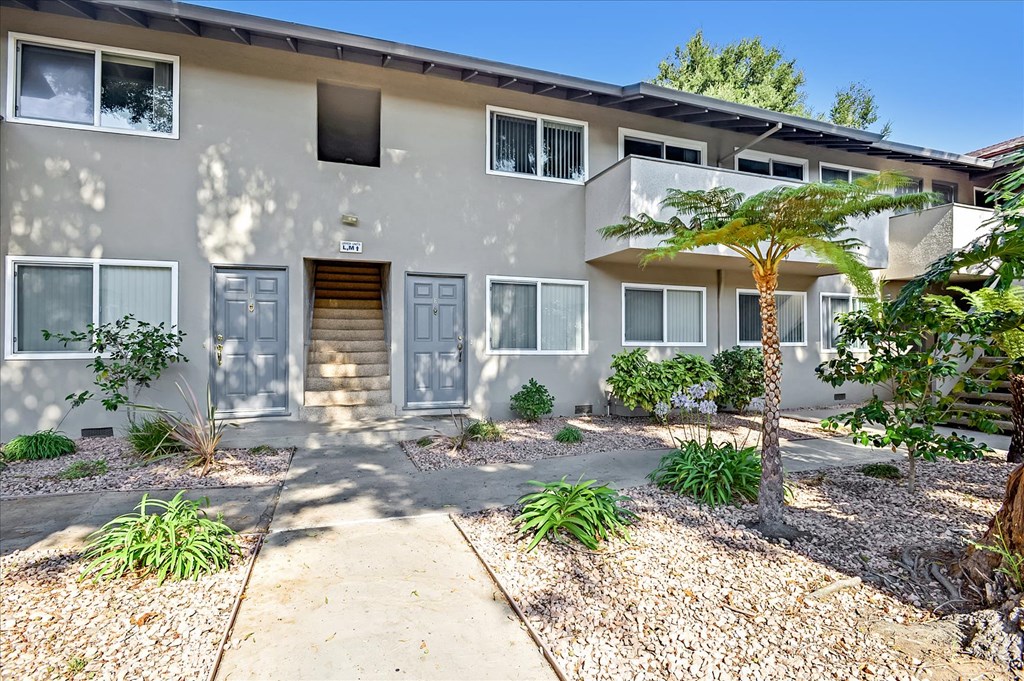 a house with a pathway and a palm tree in front of it