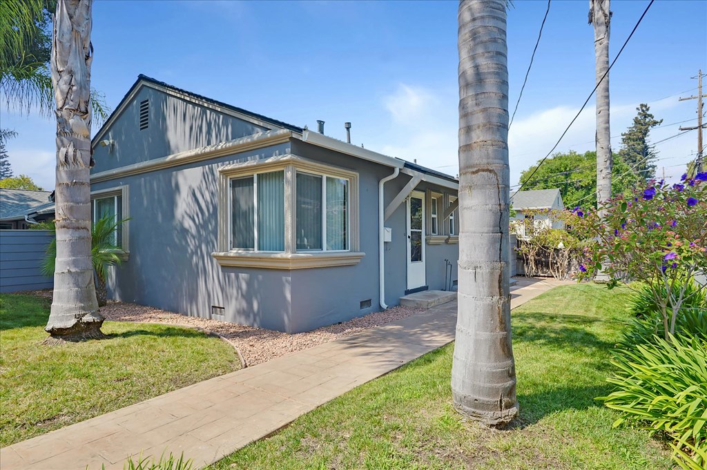 a blue house with a sidewalk and palm trees