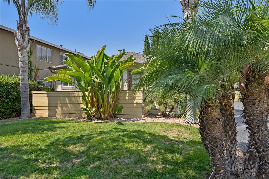 A house with a green lawn and a palm tree in front.