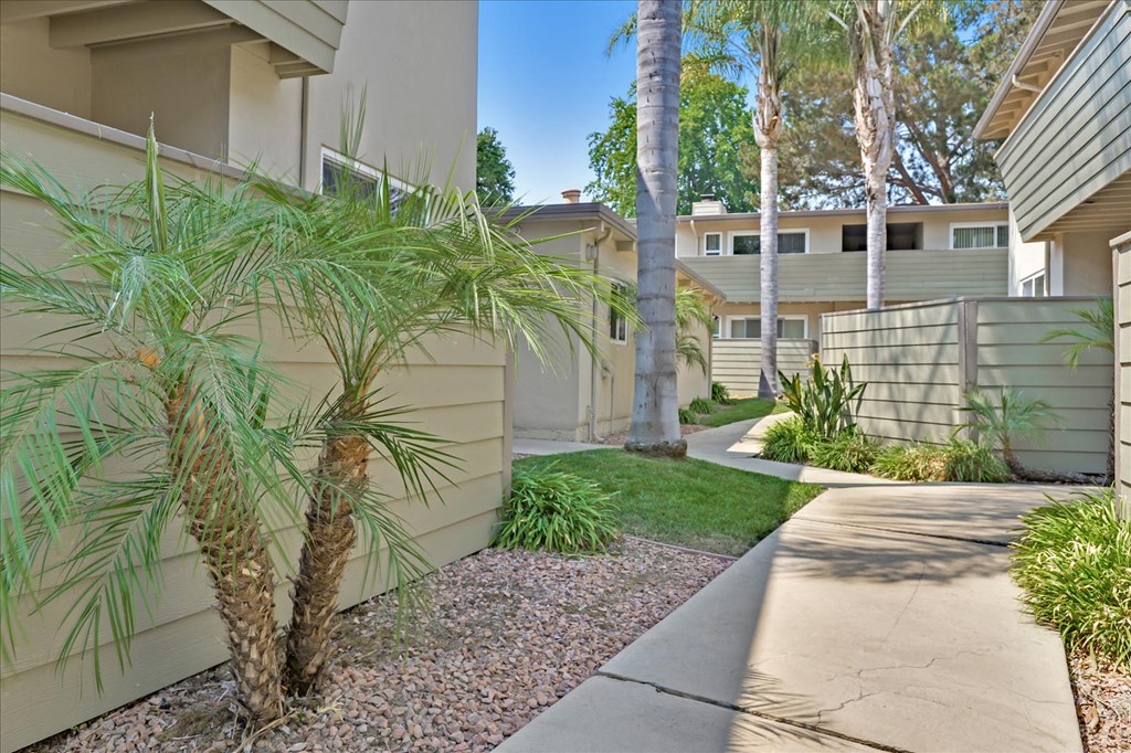 a pathway with palm trees in front of a house