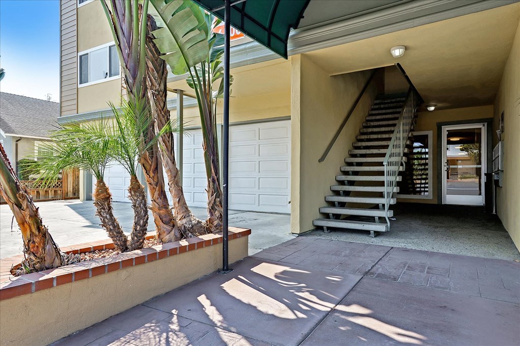 the front entrance with stairs and a palm tree