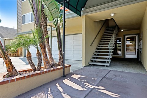 the front entrance with stairs and a palm tree