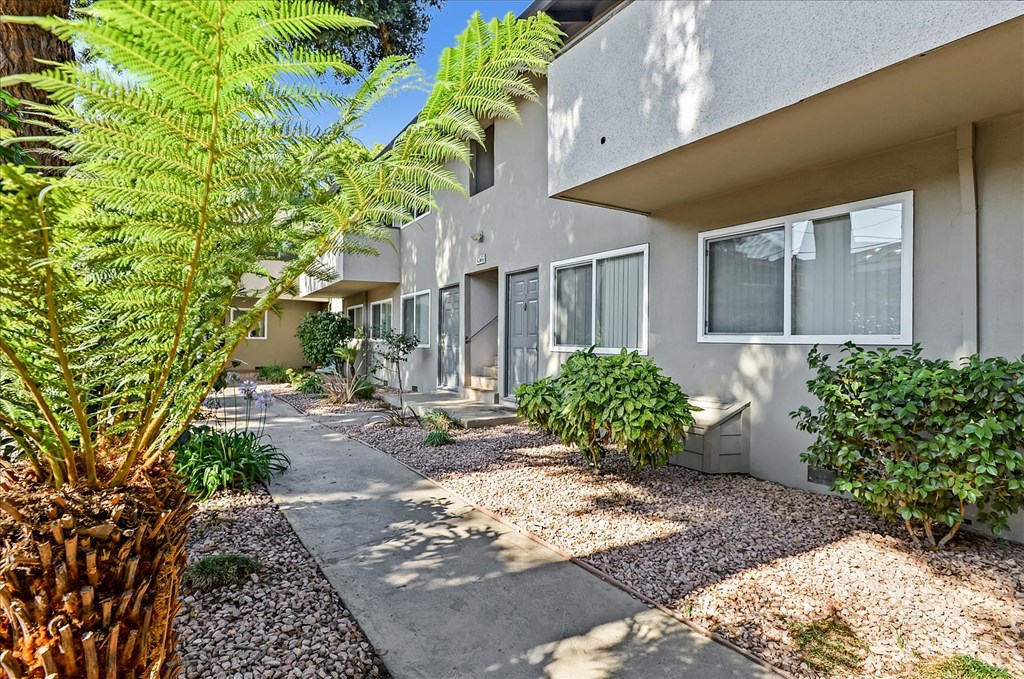 a sidewalk in front of a building with a palm tree