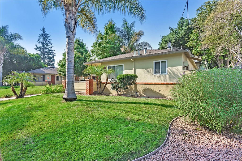 a house with a yard and a palm tree