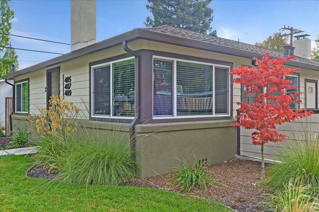 a house with a red tree in front of it