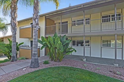 A building with a balcony and a palm tree in front.