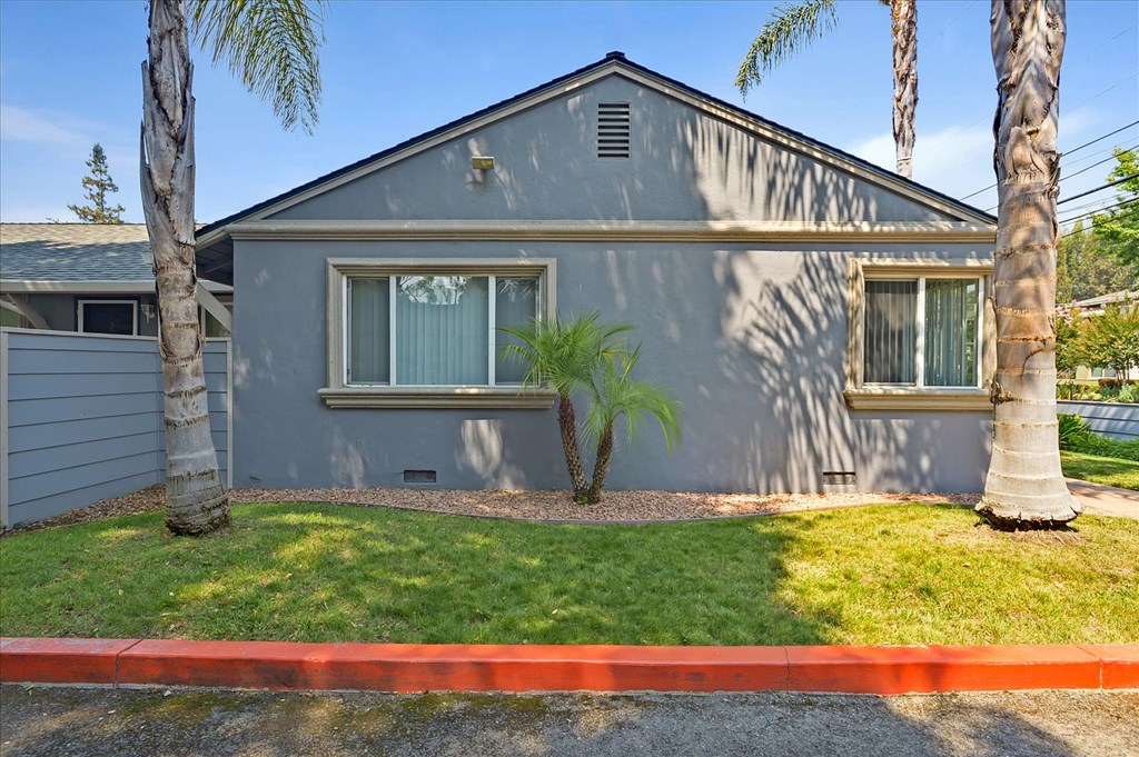 a blue house with a palm tree in front of it
