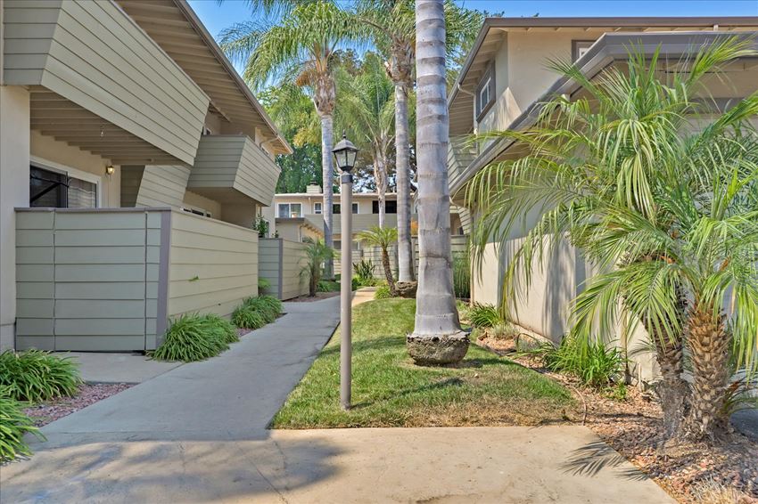 a sidewalk in front of a house with palm trees