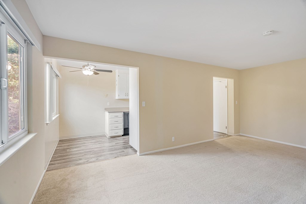 A room with a carpeted floor and a ceiling fan.