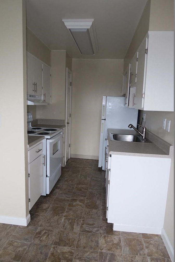 an illustration of a stormy sky with lines of lightning and a zebra